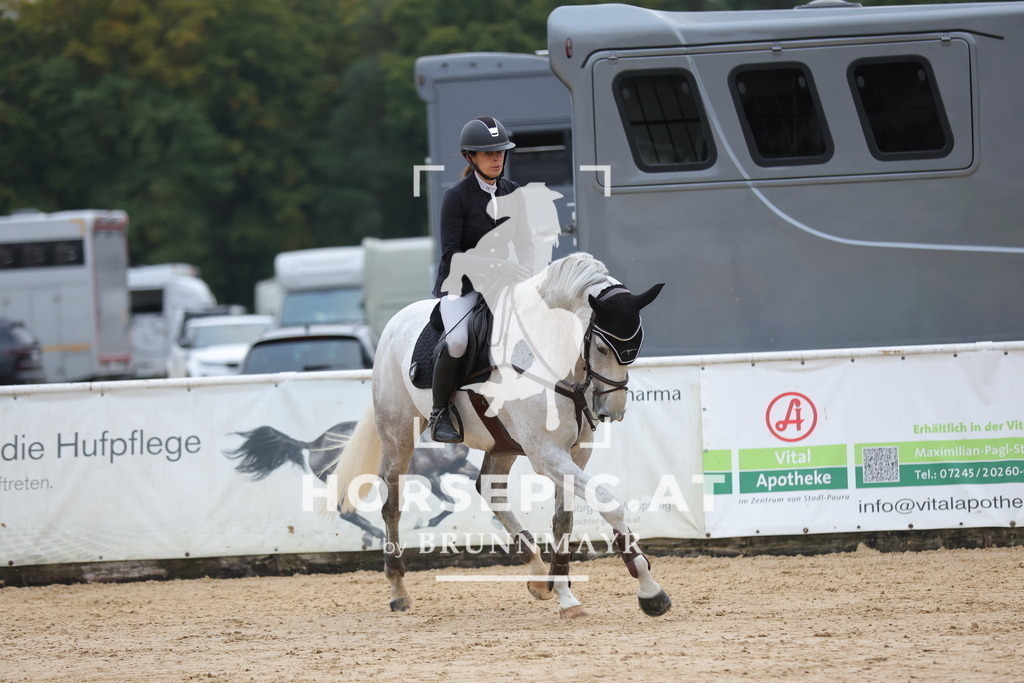 0P6A4809 | Willkommen bei Brunnmayr - Design & Fotografie – Ihrem Spezialisten für Reitturniere und Pferdeveranstaltungen in Oberösterreich, Salzburg und Bayern! Seit über 17 Jahren sind wir leidenschaftlich dabei.