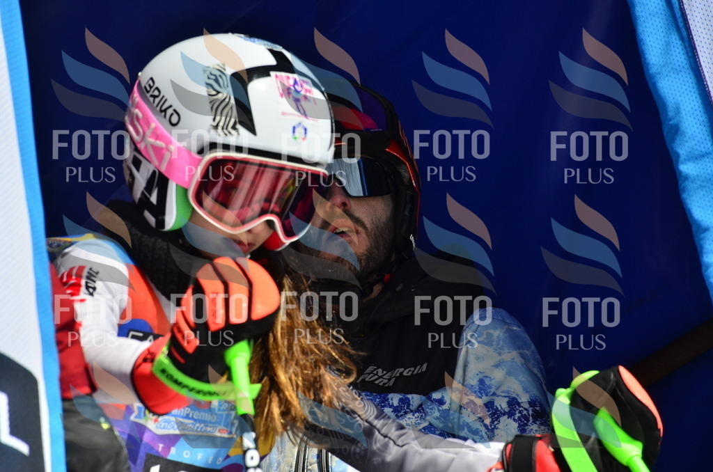 _ELE0523 | holidayphoto