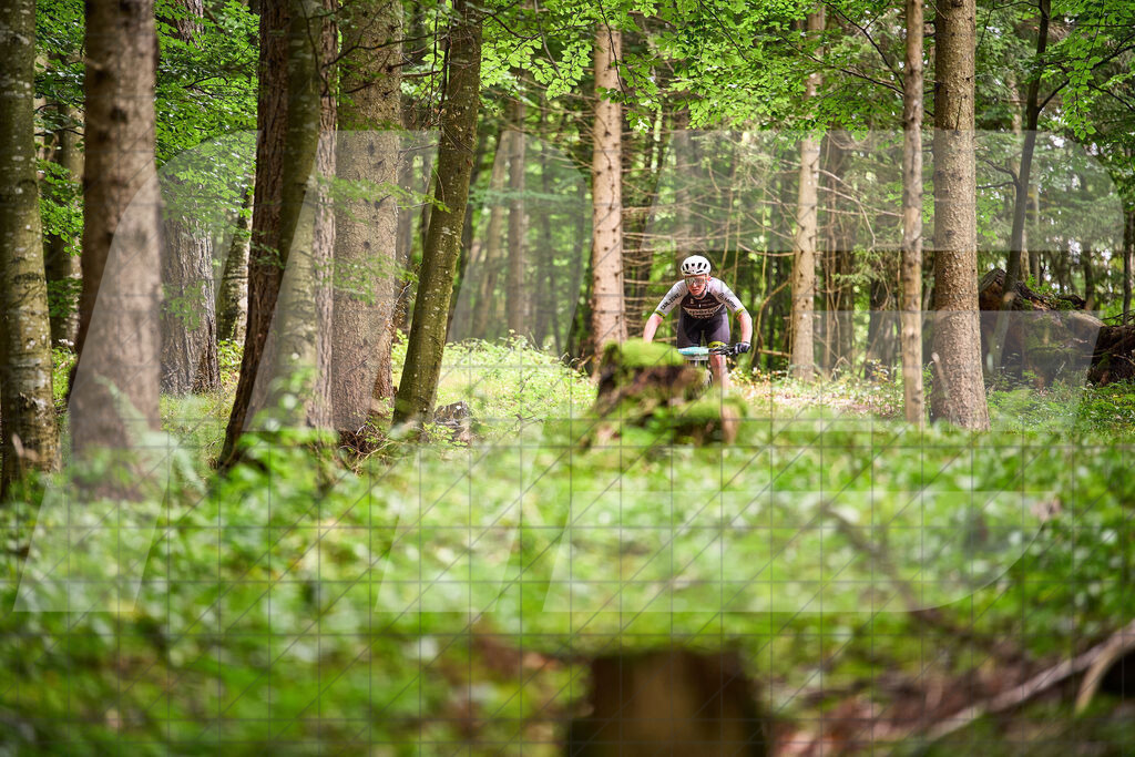 Betriebszentrum Laubenbachmühle, Frankenfels, Österreich - 13. September 2025: Dirndltal Race - Fun und Trophy RaceFotograf: Martin Bihounek / martinbihounek.com | 13. September 2025 Betriebszentrum Laubenbachmühle, Frankenfels, Österreich : Dirndltal Race - Fun und Trophy Race •••••Photo by: Martin Bihounek / martinbihounek.comInsta: @martinbihounekcom