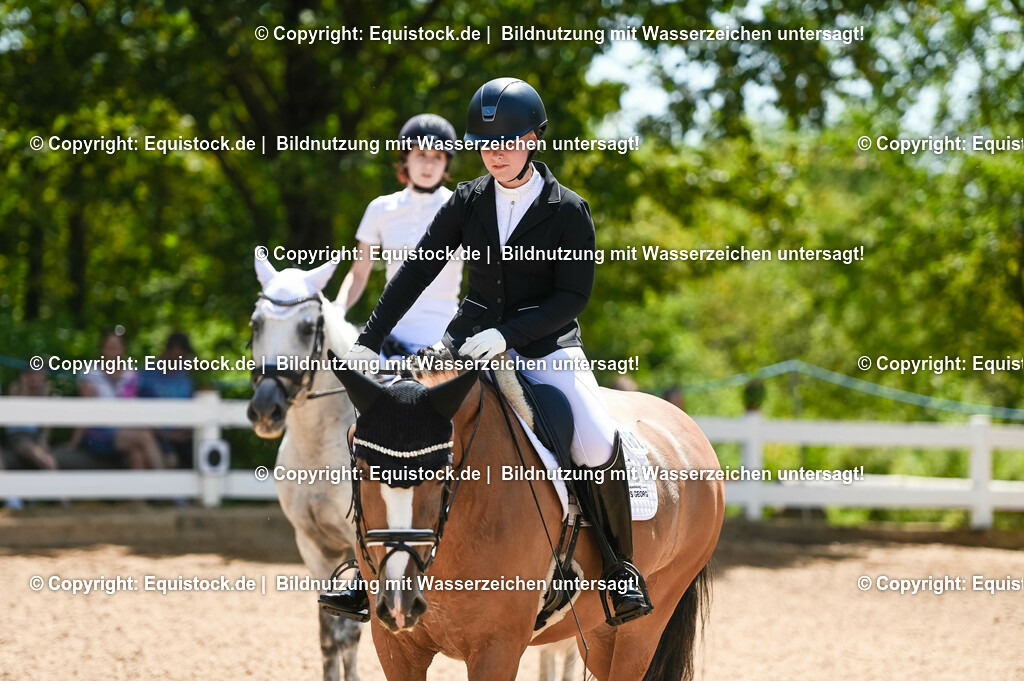 20230715_09_Dressur-WB_0361 | equistock