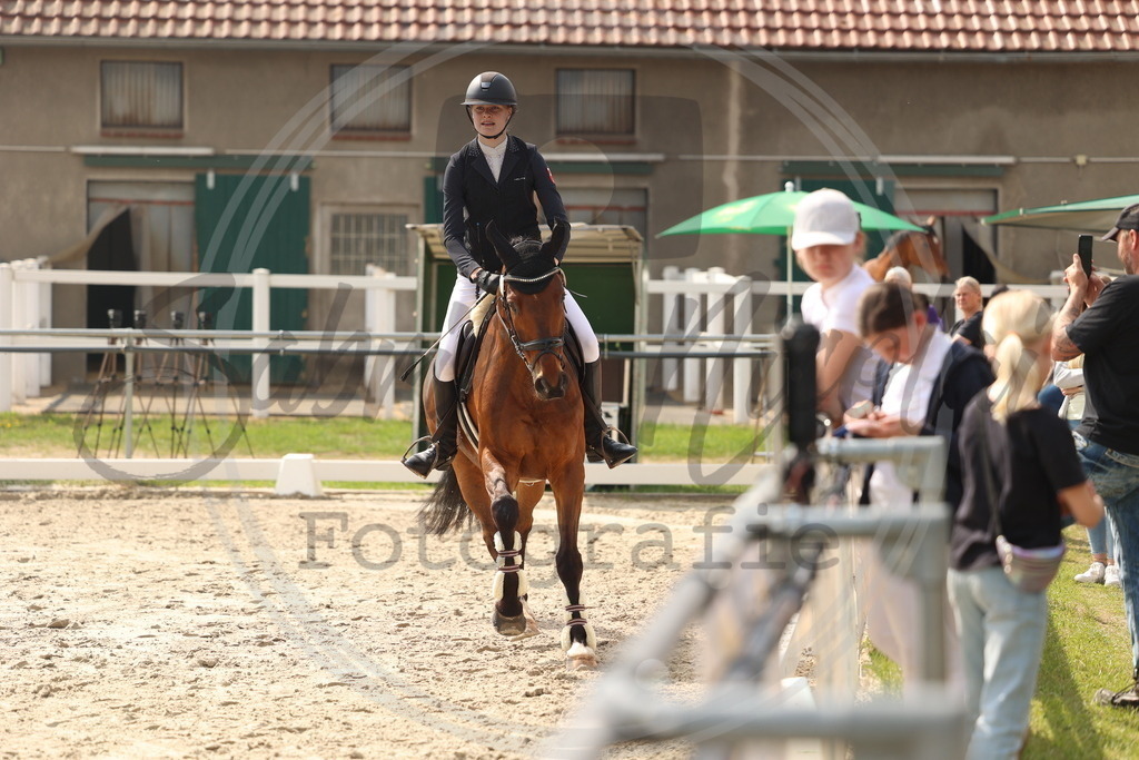 994A7720 | sabrinanicolaifotografie - Realisiert mit Pictrs.com