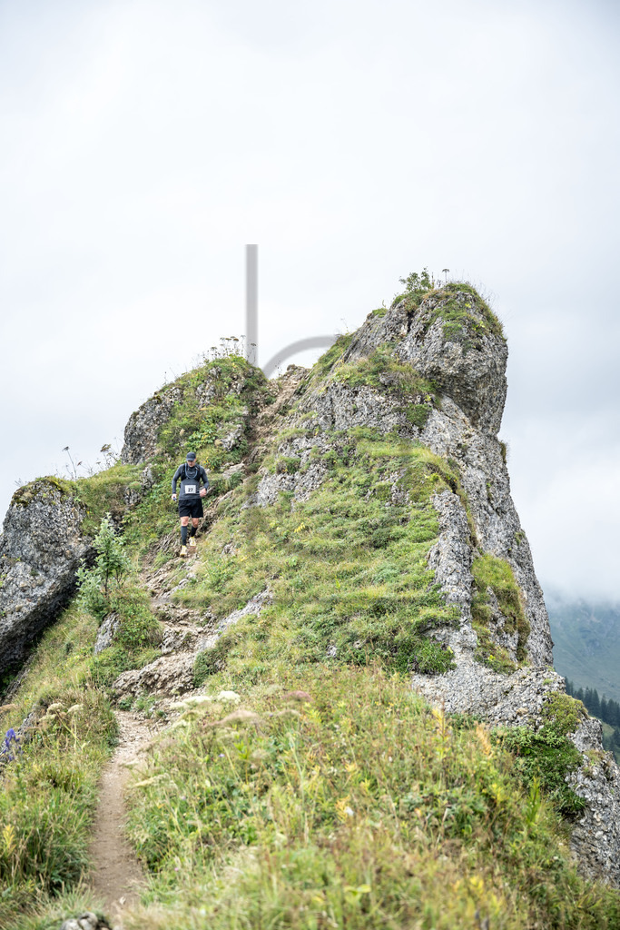 36. Gebirgsmarathon | Immenstadt, 23.08.2025 - 36. Gebirgsmarathon im Naturpark Nagelfluhkette. Einer der anspruchsvollsten​und ältesten Bergläufe​Deutschlands.Foto: Dominik Berchtold/www.dberchtold.com