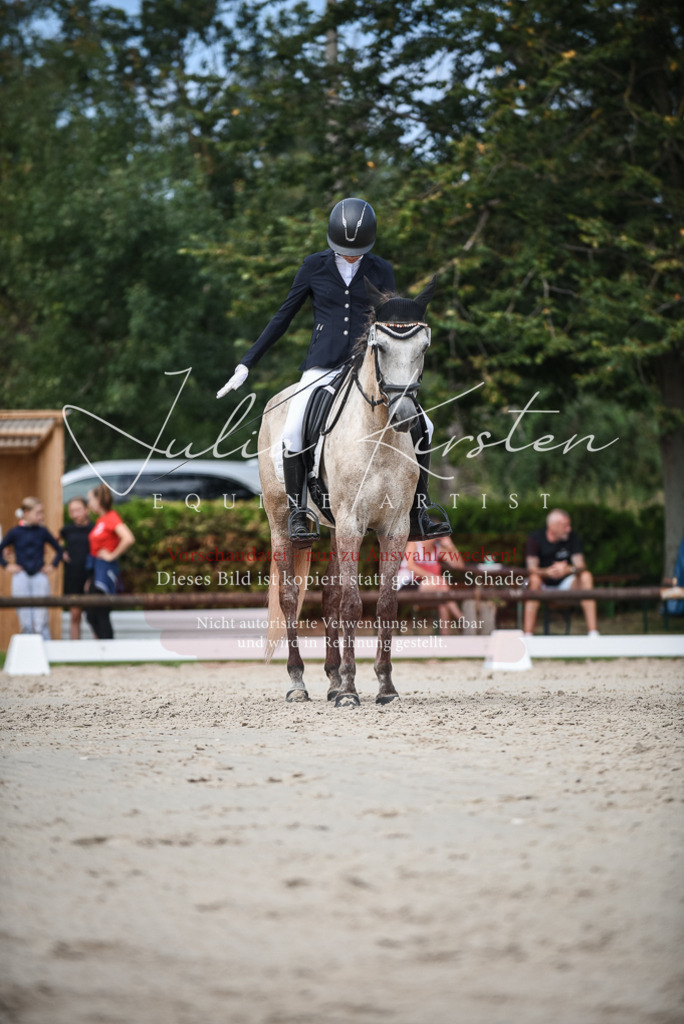 DSC_8664 | Pferde- und Turnierfotografie in Westsachsen. Pferdeportraits, Auftragszeichnungen und intuitive Kunst.