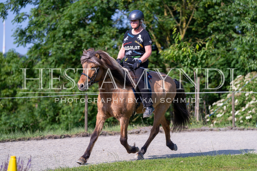 KAI07171 | Ihr sucht einen Fotografen für eure nächste OSI? Ich begleite auch euer Turnier für Islandpferde fotografisch.  - Realisiert mit Pictrs.com