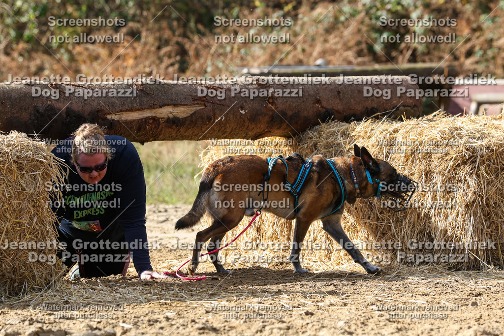 Dog Paparazzi - Strongdog 10-25-5317 | Dog Paparazzi Jeanette Grottendiek Fotografie & Videografie - Realisiert mit Pictrs.com