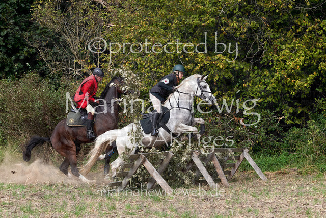 09-23 Jagd Perdöl_MCH9751_Marina Hewig | Fotografie, FotoArt, PferdesportArt, Pferdesportfotografie, Landschaftsfotografie, Reisefotografie, Reise, Pferde - Realisiert mit Pictrs.com