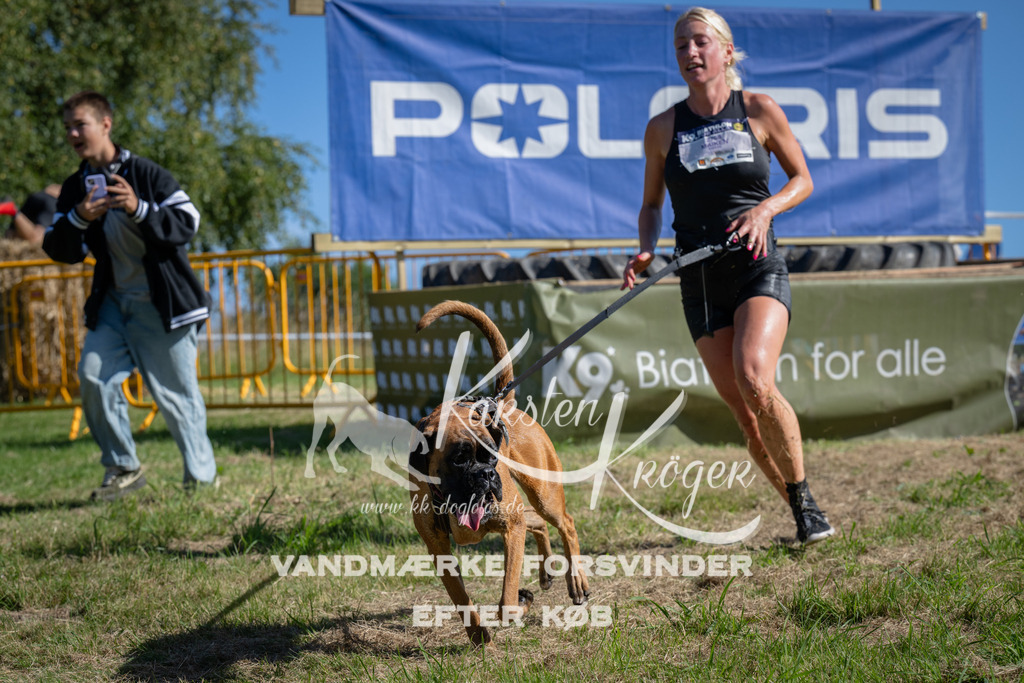 1023_ZZ98486 | kk-dogfotos