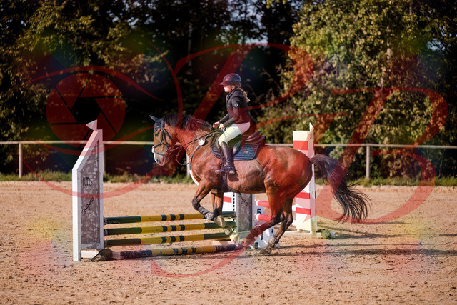 2026_10_03_Siefer-Hof_154625_Z81_64860552 | Professionelle Reitsport-, Turnier- und Eventfotografie von Robert Broda. Galerien mit ausgewählten und bearbeiteten Bildern direkt online ansehen und bestellen.