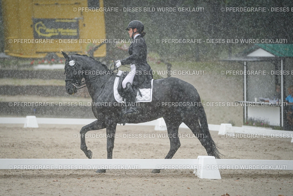 DSC08372 | Pferdegrafie