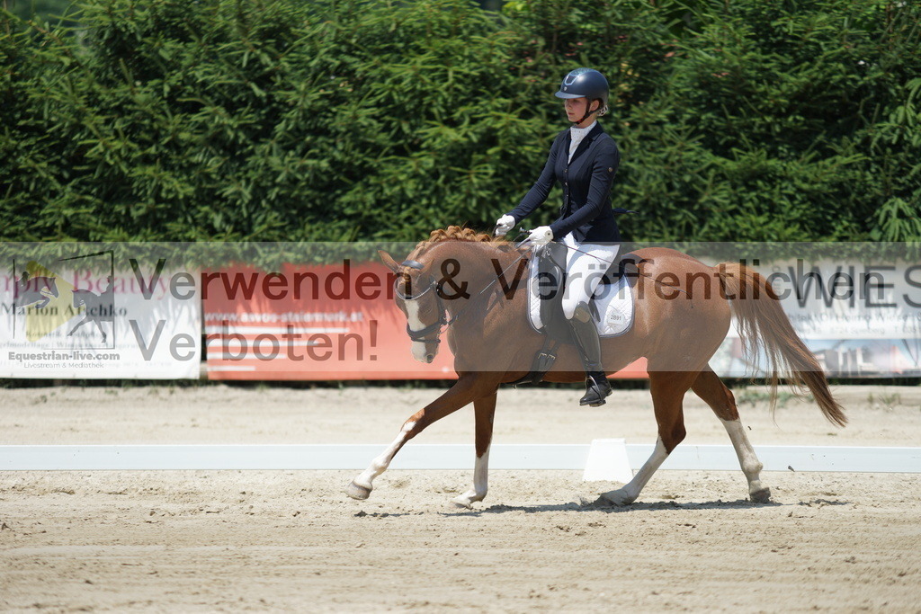 DSC04921 | equestrian-live-com