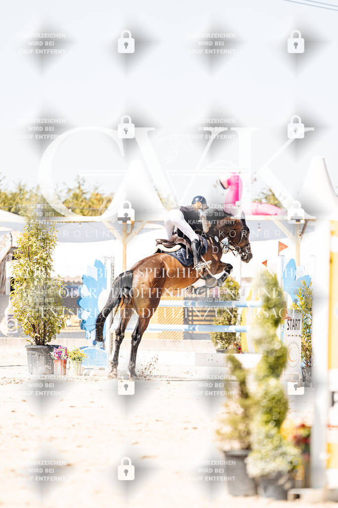CK900052 | Turnierfotografie Pferdefotografie Trier Rheinland-Pfalz Pferdesport Reitsport Tierfotografie Sportfotografie Pferdevideo Pferdevideografie Equestrianvideography equestrianphotography  - Realisiert mit Pictrs.com