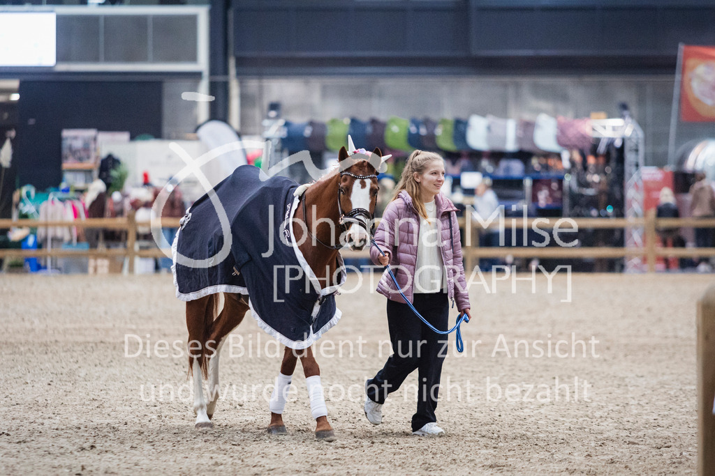 241102_Oldenburg_Show-300 | Deine schönsten Turniermomente als professionelle Fotos! Entdecke hochwertige Pferdesport-Fotografie im Online-Shop. Jetzt Fotos finden & bestellen!
