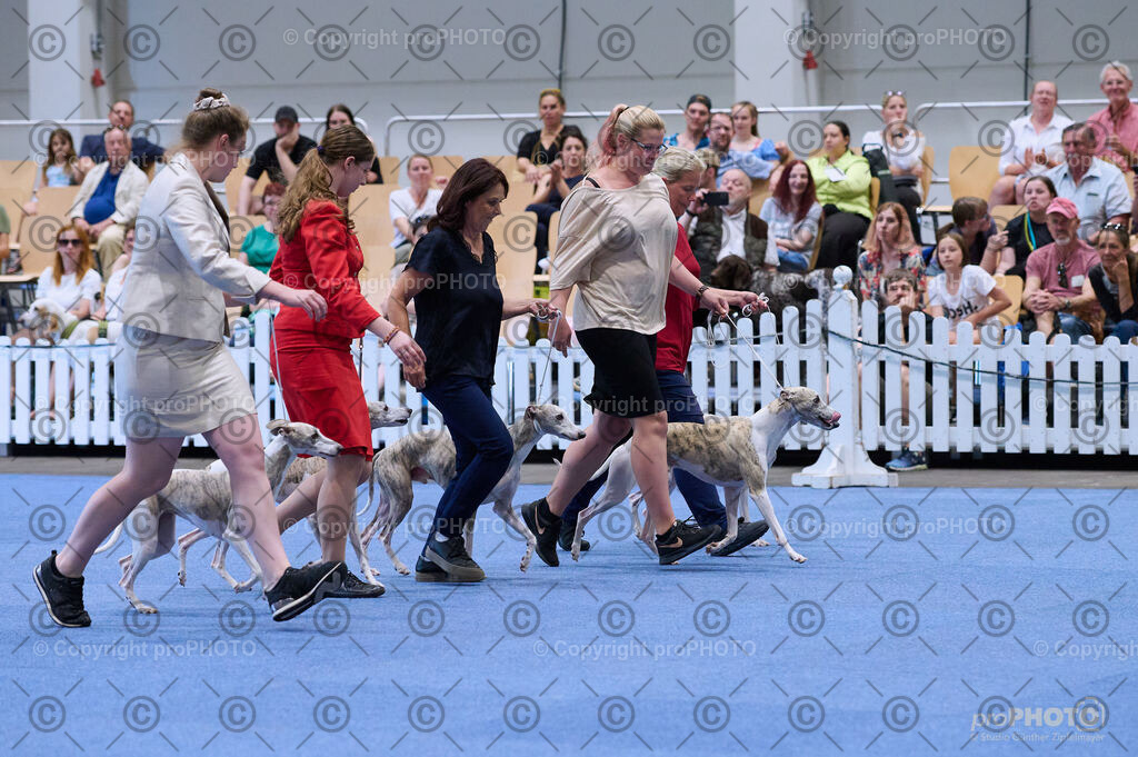 202406_ÖKV-IHA-Tulln24_DSC_3773 | proPHOTO - Realisiert mit Pictrs.com