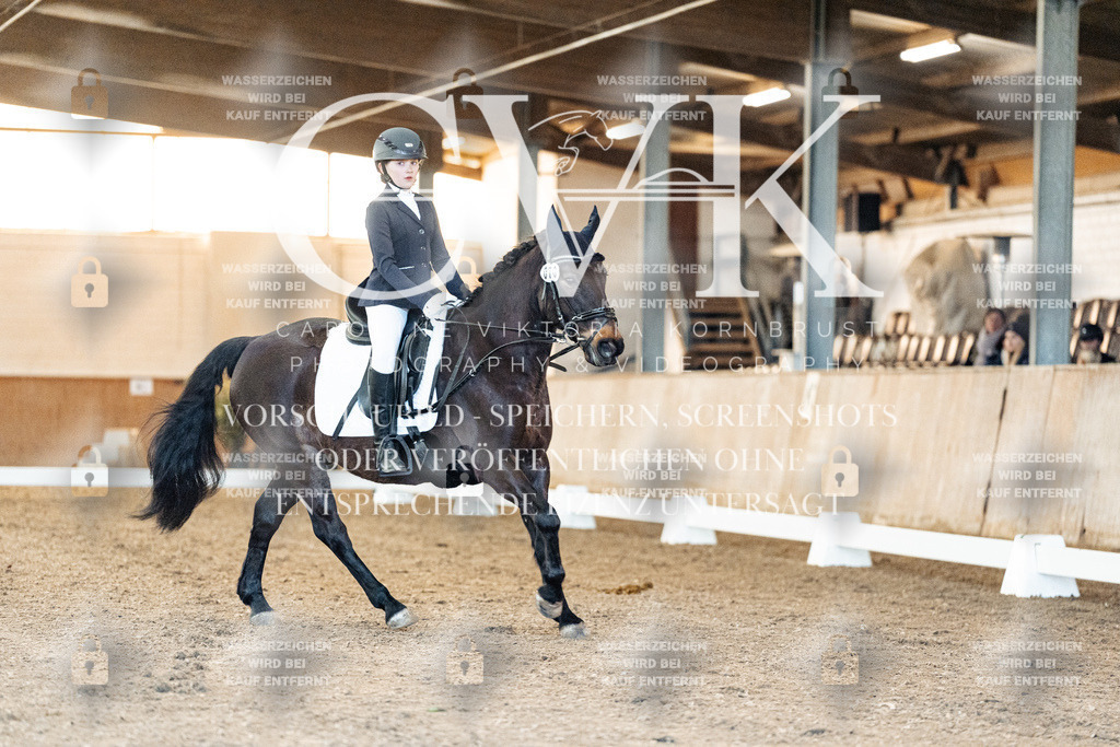 CK906732 | Turnierfotografie Pferdefotografie Trier Rheinland-Pfalz Pferdesport Reitsport Tierfotografie Sportfotografie Pferdevideo Pferdevideografie Equestrianvideography equestrianphotography  - Realized with Pictrs.com