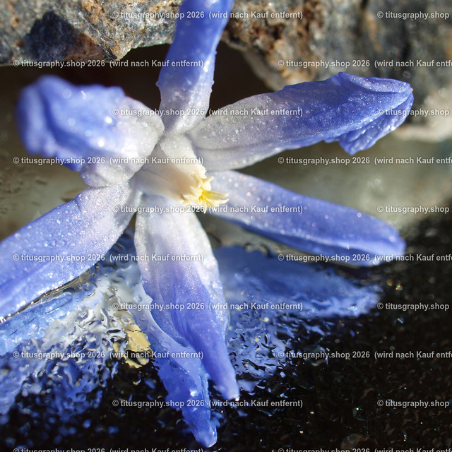 P3315291_edited | Fotokunstarbeit aus der INSTAGRAM-Gallerie auf titusgraphy.eu - Realisiert mit Pictrs.com