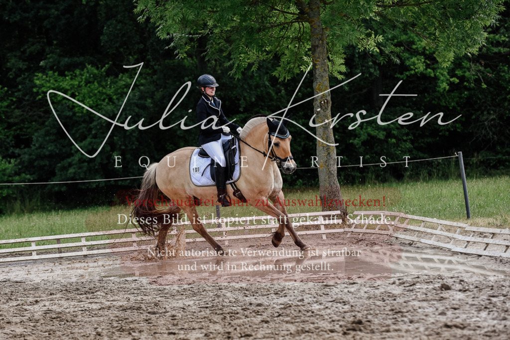 DSC_1709 | Pferde- und Turnierfotografie in Westsachsen. Pferdeportraits, Auftragszeichnungen und intuitive Kunst.