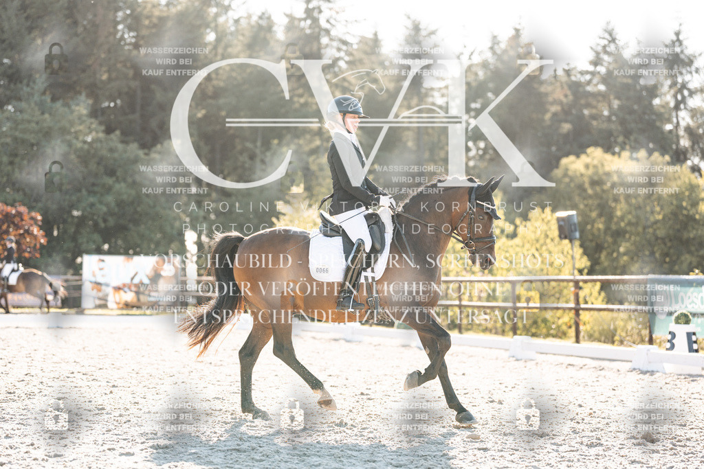 CK907099 | Turnierfotografie Pferdefotografie Trier Rheinland-Pfalz Pferdesport Reitsport Tierfotografie Sportfotografie Pferdevideo Pferdevideografie Equestrianvideography equestrianphotography  - Realisiert mit Pictrs.com