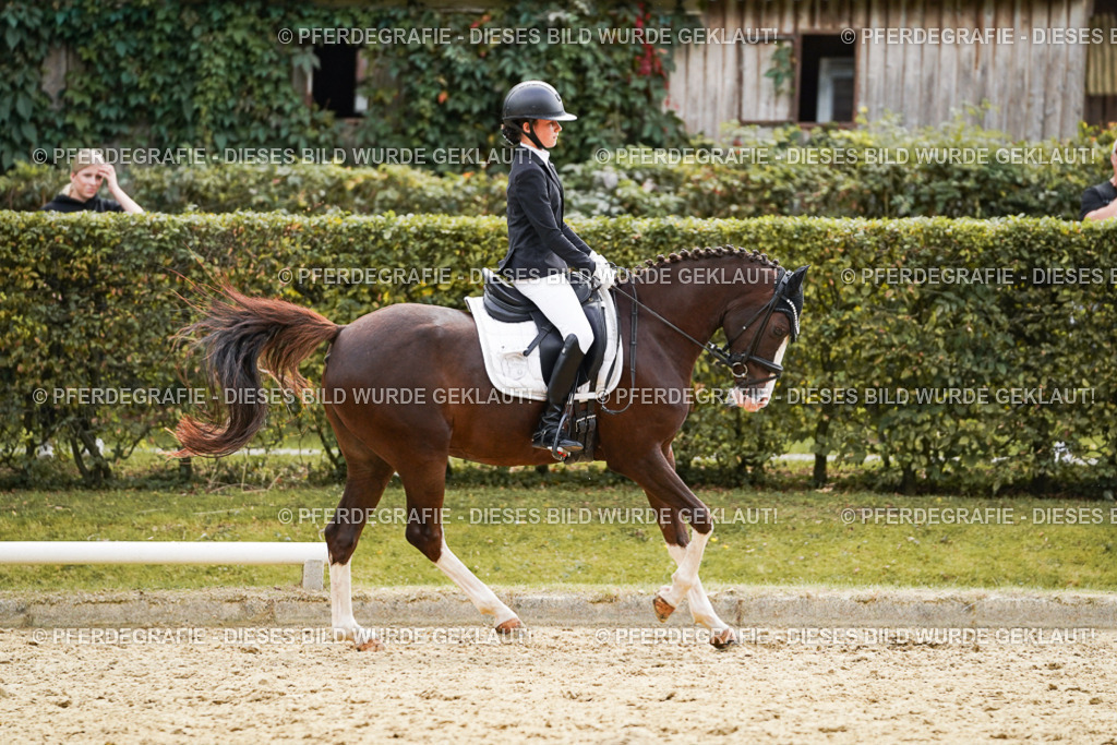 DSC01050 | Pferdegrafie