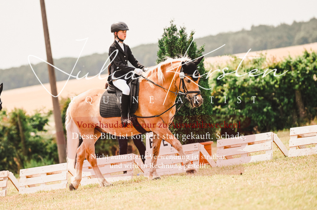 DSC_6235 | Pferde- und Turnierfotografie in Westsachsen. Pferdeportraits, Auftragszeichnungen und intuitive Kunst.