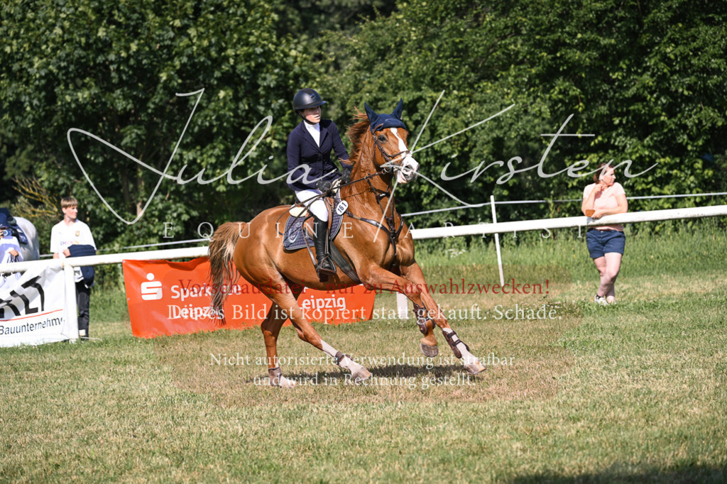 DSC_1205 | Pferde- und Turnierfotografie in Westsachsen. Pferdeportraits, Auftragszeichnungen und intuitive Kunst.