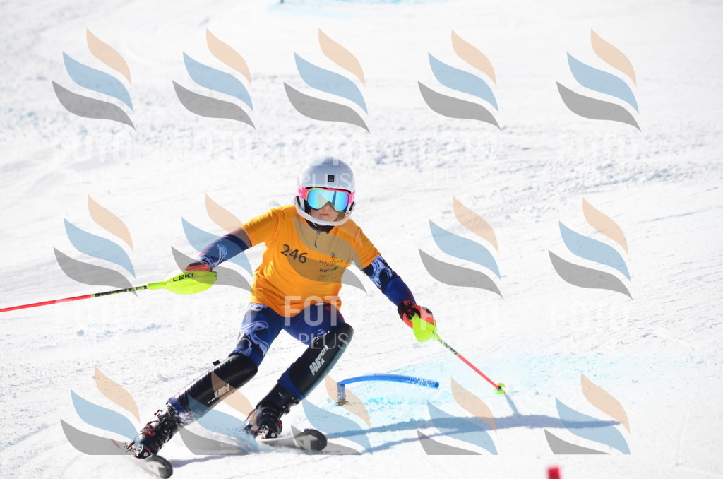 C8416 | holidayphoto