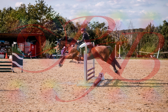 2026_10_03_Siefer-Hof_154640_Z81_65390605 | Professionelle Reitsport-, Turnier- und Eventfotografie von Robert Broda. Galerien mit ausgewählten und bearbeiteten Bildern direkt online ansehen und bestellen.