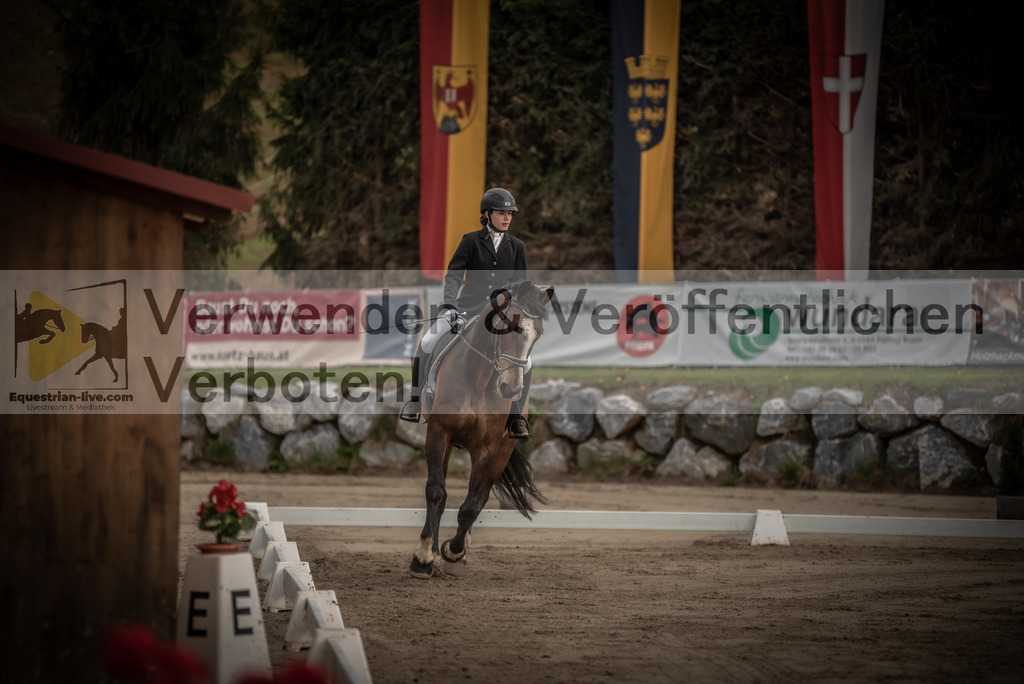 DSC_8343 | equestrian-live-com