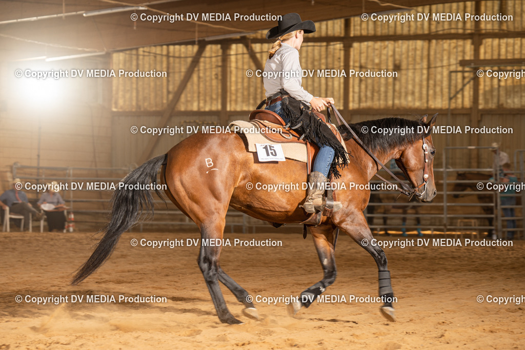 NID03780 | dv-media-shop - Realisiert mit Pictrs.com