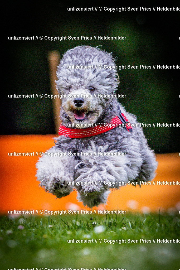 Sven Pries | 2025-05-29 - Pudelrennen KA-Durlach - Realisiert mit Pictrs.com