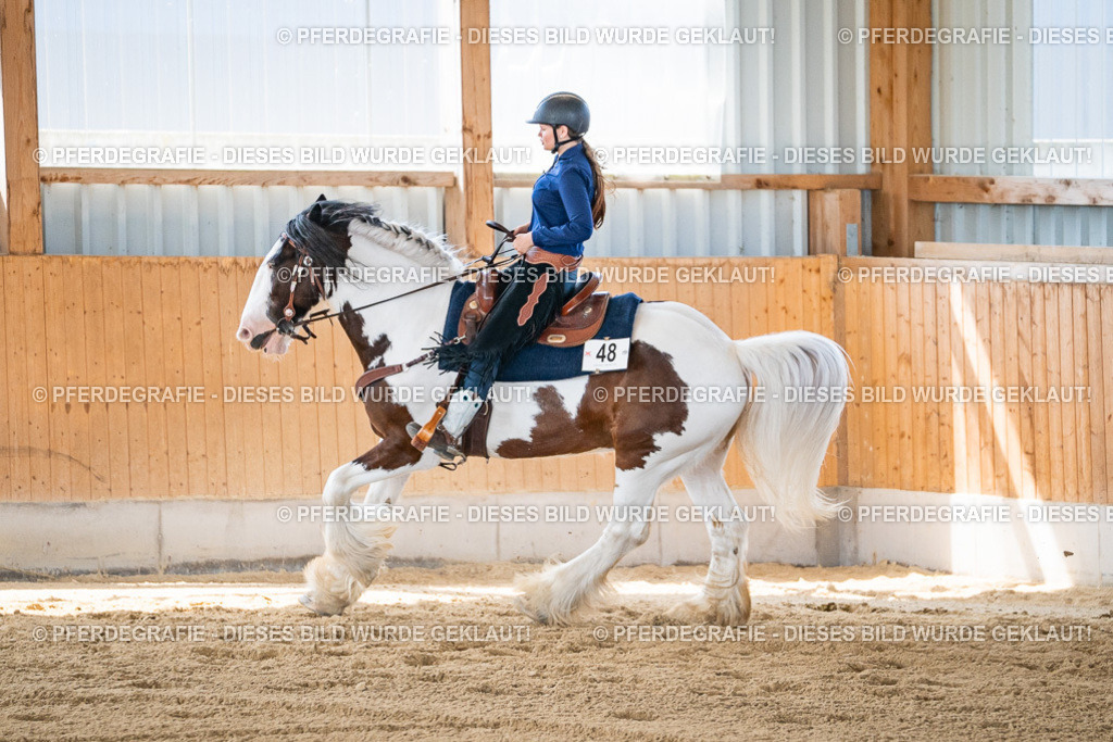 DSC03649 | Pferdegrafie