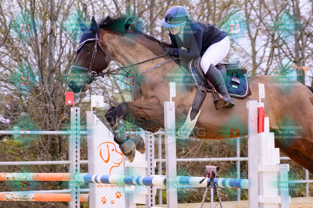 10042026-Mammendorf-Prfg17-0647 | Fokus Hufschlag Fotografie - Realisiert mit Pictrs.com