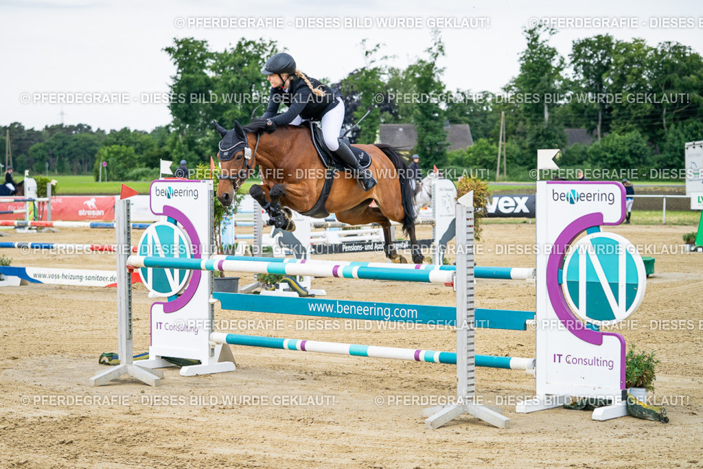 DSC05478 | Pferdegrafie