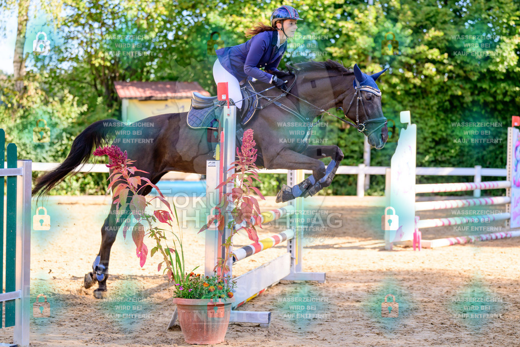 30082026-Giesenbach-Prfg16-0422 | Fokus Hufschlag Fotografie - Realisiert mit Pictrs.com