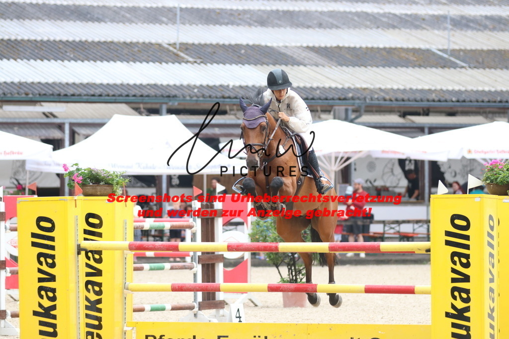 IMG_8446 | lmwpictures - Realisiert mit Pictrs.com