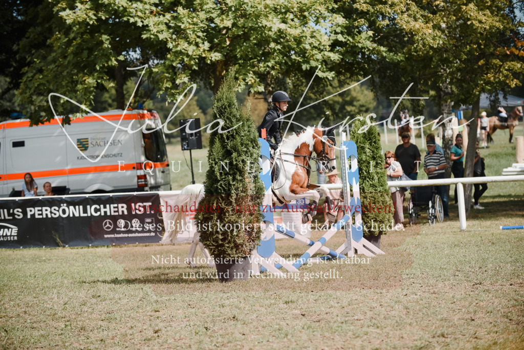 DSC_5456 | Pferde- und Turnierfotografie in Westsachsen. Pferdeportraits, Auftragszeichnungen und intuitive Kunst.
