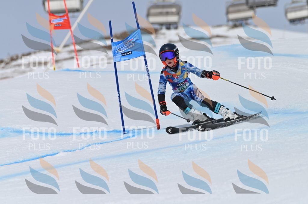 BGV_3786 | holidayphoto