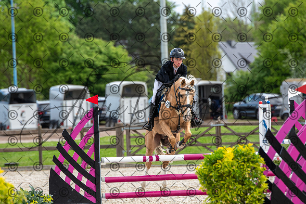 KPT_7924 | andre_photographic