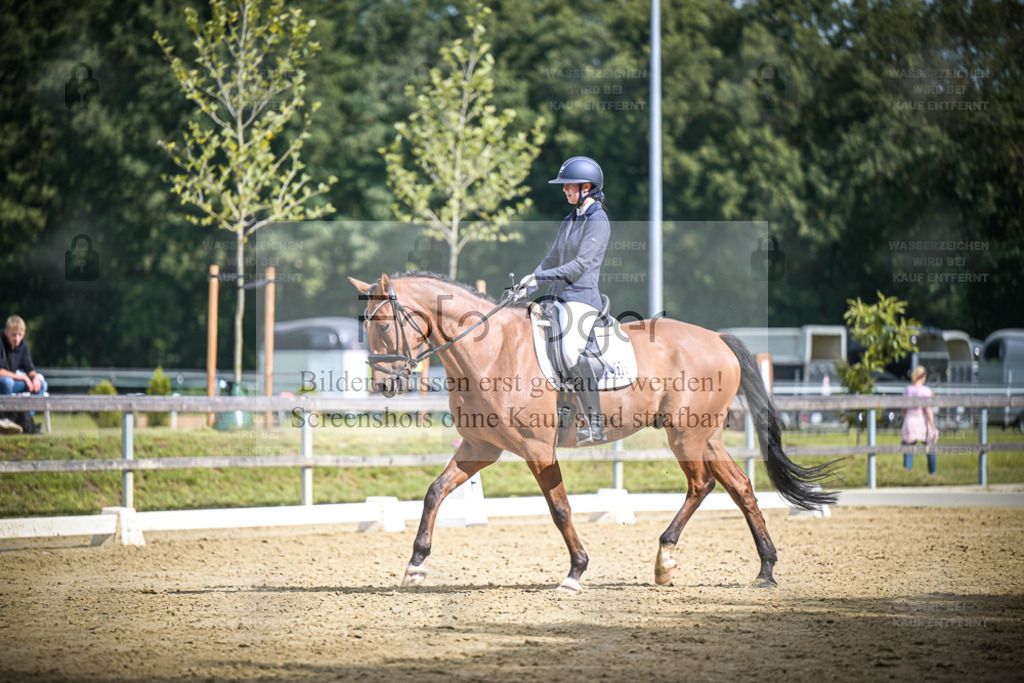 DOS_3136 | Entdecke hochwertige Reitturnierfotos von Foto Oger. Professionell, emotional und authentisch – jetzt Lieblingsmomente im Shop bestellen. - Realisiert mit Pictrs.com