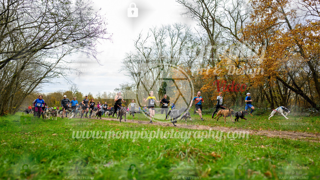 MompixPhotography_Bischwiller24_DI_CoursedeRelais-3 | PayLife