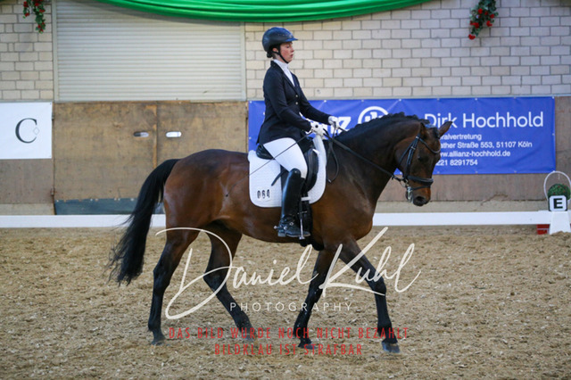 IMG_2877 | Turnierfotos kaufen im Webshop von Daniel Kuhl Photography – entdecke professionelle Reitsportfotos aus Turnieren & Events. Hochwertige Turnierbilder online bestellen & sichern. Jetzt Fotos von Reitsportturnieren kaufen!