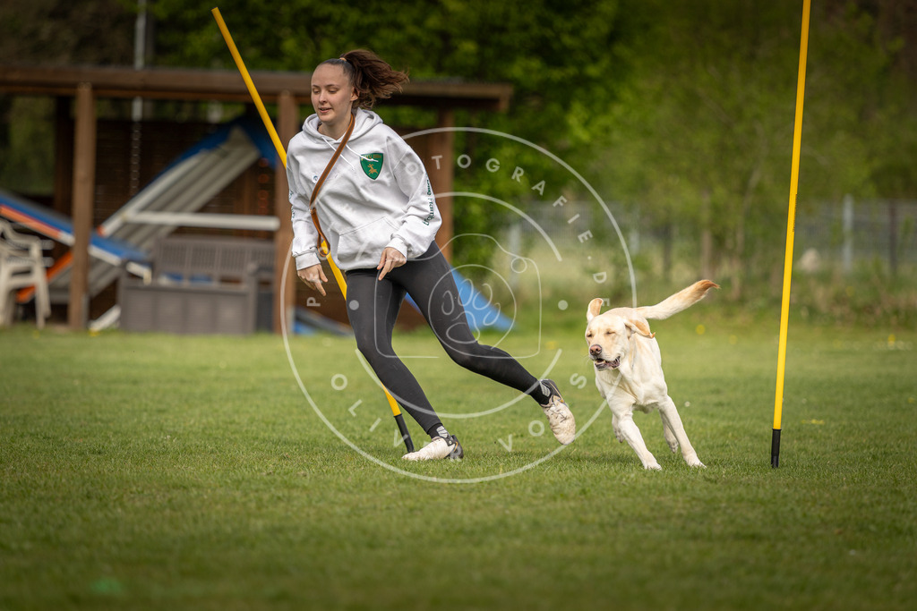 Pfotenfotografie_DV3A5188 | Hundefotografie, Tierfotograf, Pfotenfotografie, Fotoshooting Hund, Hunde Portrait, Hundesport, Hundeportraits, Heideshooting, Hunde, Sportfotograf, Hundefotograf, Turnierhundsport, THS,  - Realisiert mit Pictrs.com