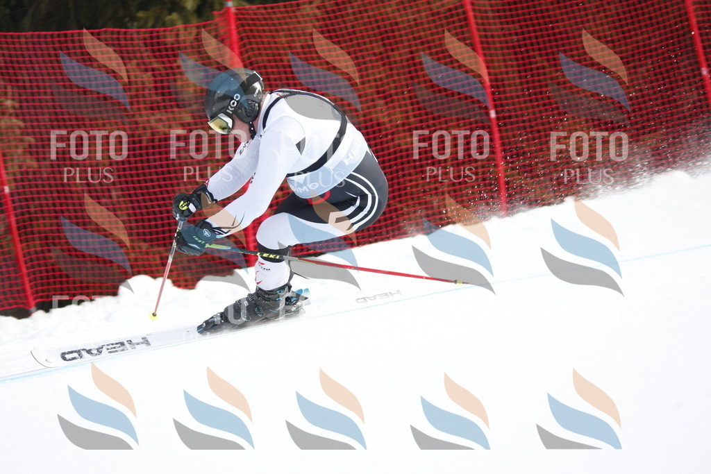 D6128 | holidayphoto