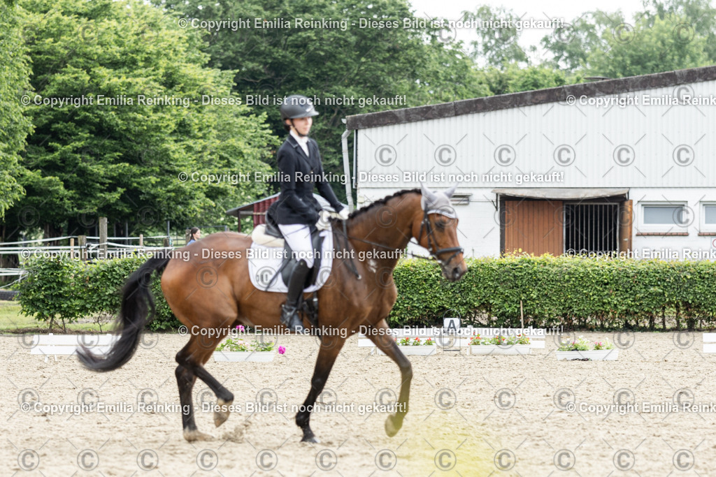 CL5A7026 | Emilia Reinking Fotografie - Realisiert mit Pictrs.com