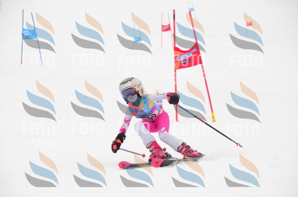 C1374 | holidayphoto