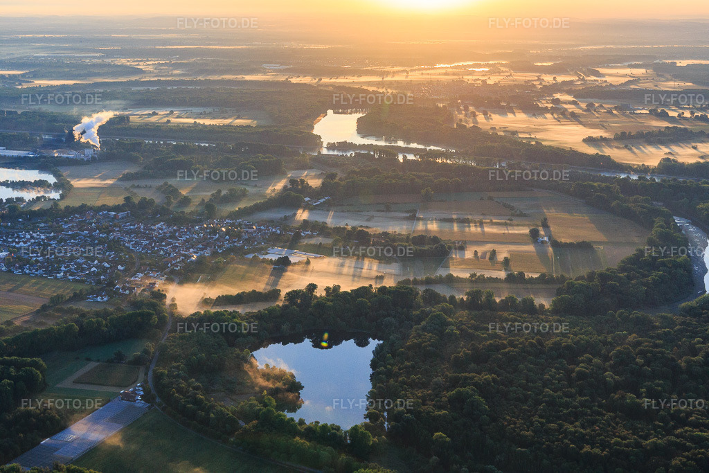 Luftbild: Rheinauen und Michelsbach aus Westen am Morgen im Ortsteil Sondernheim in Germersheim im Bundesland Rheinland-Pfalz in Deutschland. Foto: IMG_110822.jpg vom 08.09.2018 durch Werner Riehm/FLY-FOTO.de