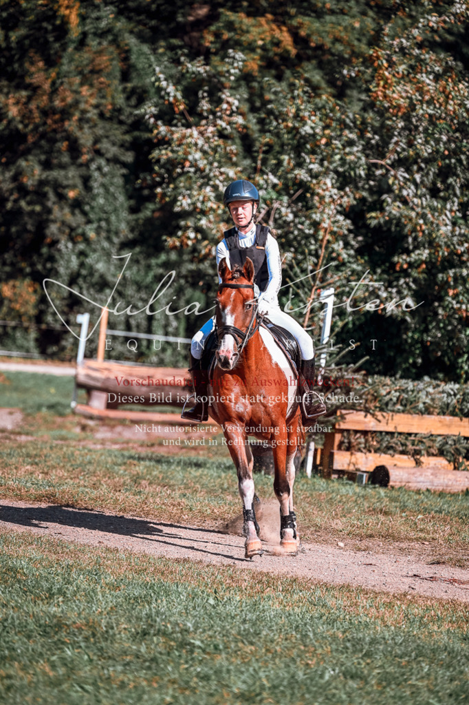 DSC_1042 | Pferde- und Turnierfotografie in Westsachsen. Pferdeportraits, Auftragszeichnungen und intuitive Kunst.