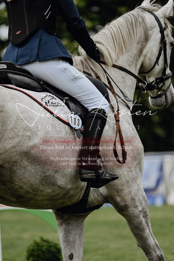 DSC_7070 | Pferde- und Turnierfotografie in Westsachsen. Pferdeportraits, Auftragszeichnungen und intuitive Kunst.