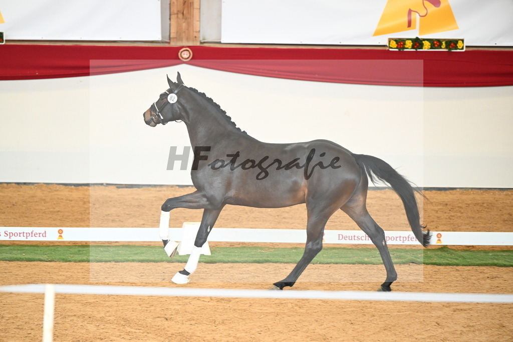 Kat.-Nr. 82 v. Total Diamond PS_Weichel-Kirsch_2250775 | hf-fotografie - Realisiert mit Pictrs.com