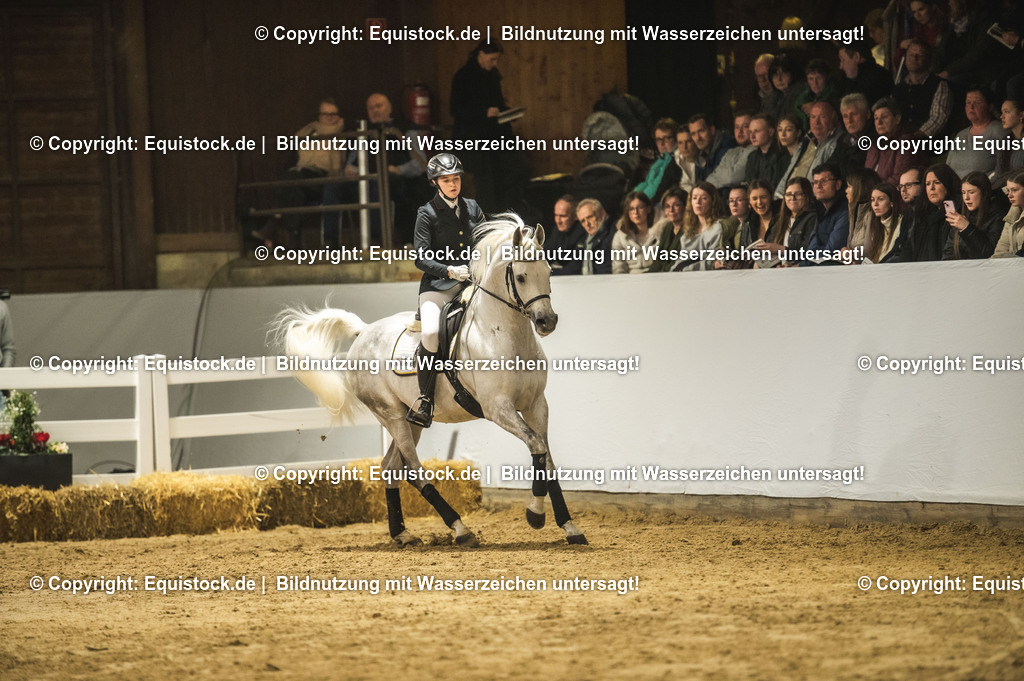 20240302_Hengstvorstellung_Marbach_TOMsPiC_1016-2 | equistock