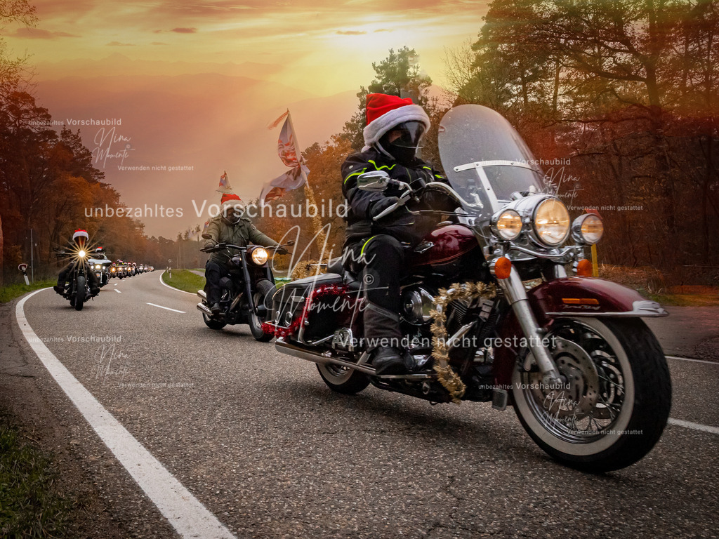 _16A2891-1 | Einzigartige Fotos von Hunden & Menschen –Actionfotos, Portraits, Vereinsaufnahmen & Paarshootings – authentisch, lebendig & mit Herz.